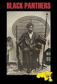 Black Panthers (19
