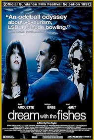 Dream with the Fis