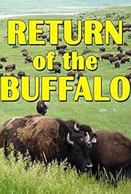 The Return of the 