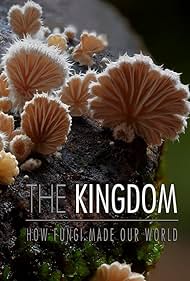 The Kingdom How Fu