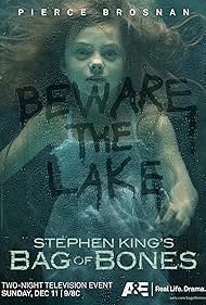 Bag of Bones (2011