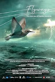 Flyways the untold