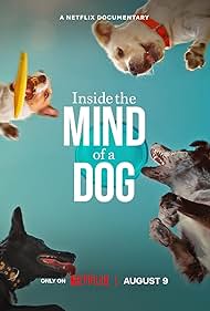 Inside the Mind of