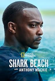 Shark Beach with A