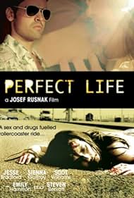 Perfect Life (2010