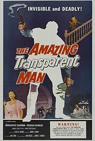 The Amazing Transp