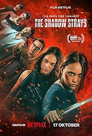 The Shadow Strays 