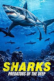Sharks Predators o