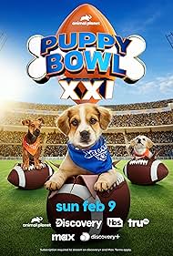 Puppy Bowl XXI (20