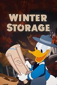Winter Storage (19