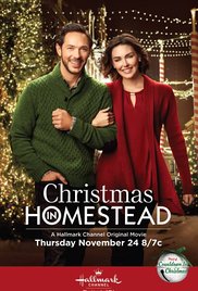 Christmas in Homes