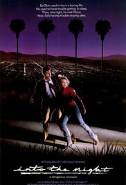 Into the Night (19