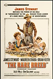 The Rare Breed (19