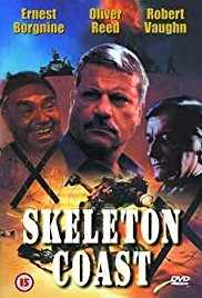 Skeleton Coast (19