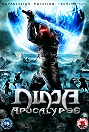 Ninja Apocalypse (