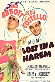 Lost in a Harem (1