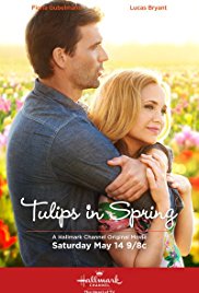 Tulips in Spring (