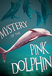 The Mystery of the