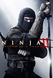 Ninja: Shadow of a