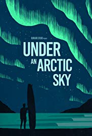 Under an Arctic Sk