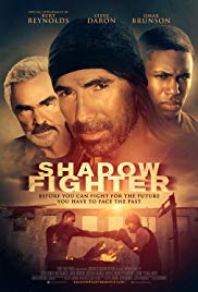 Shadow Fighter (20
