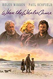 When the Whales Ca