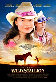 The Wild Stallion 