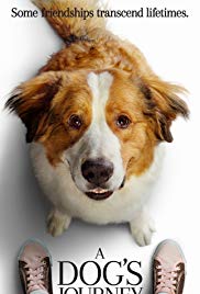 A Dogs Journey (20