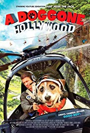 A Doggone Hollywoo