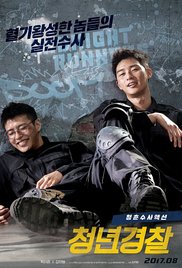 Midnight Runner (2