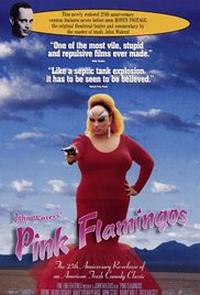Pink Flamingos (19
