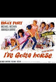 Ive Gotta Horse (1