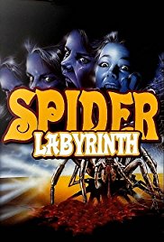 The Spider Labyrin