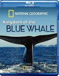 Kingdom of the Blu