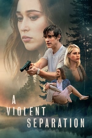 A Violent Separation (2018)