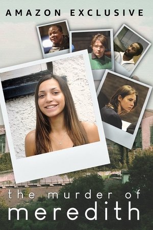 The Murder of Meredith (2022) Poster