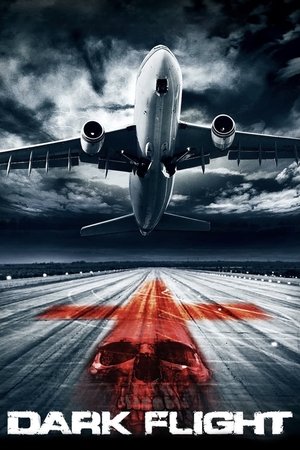 407 Dark Flight 3D (2012)