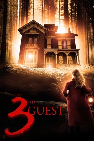 The 3rd Guest (2020)