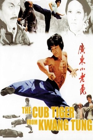 Snake Fist Fighter (1973) Poster