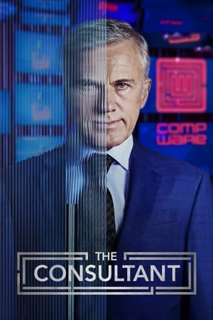 The Consultant (2023-)