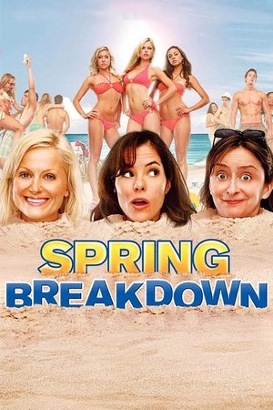 Spring Breakdown (2009) Poster