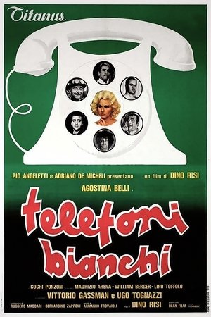 The Career of a Chambermaid (1976)