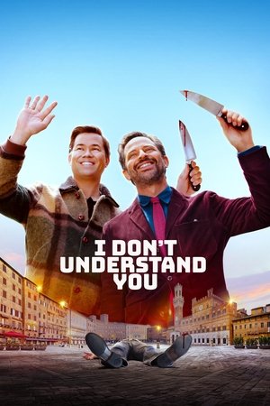 I Dont Understand You (2024)