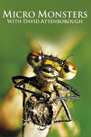 Micro Monsters 3D (2013 )
