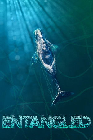 Entangled: The Race to Save Right Whales from Extinction (2020)