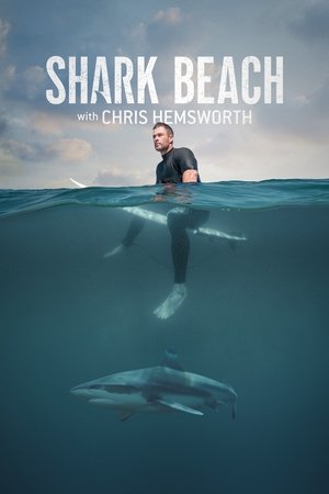 Shark Beach (2021)