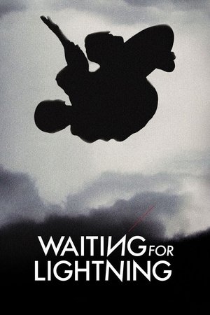 Waiting for Lightning (2012) Poster