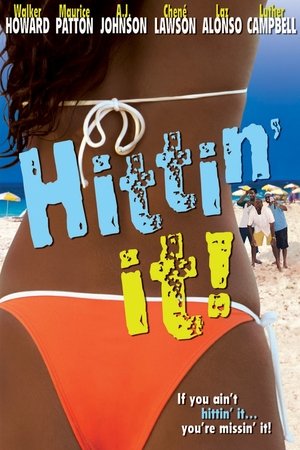 Hittin It (2004) Poster