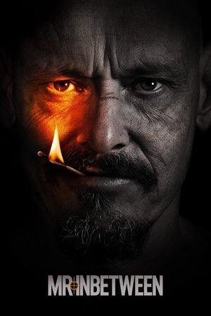 Mr Inbetween (2018 )