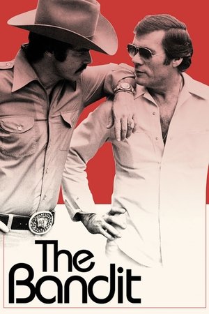 The Bandit (2016) Poster